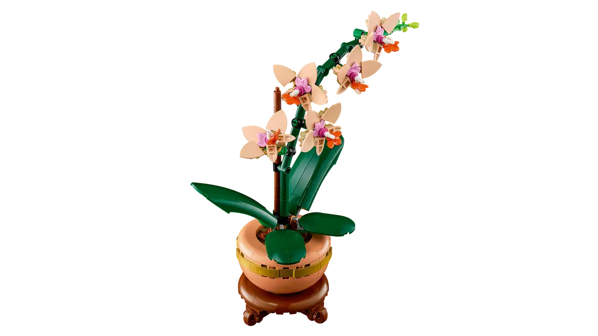 Mini orchidea (10343)