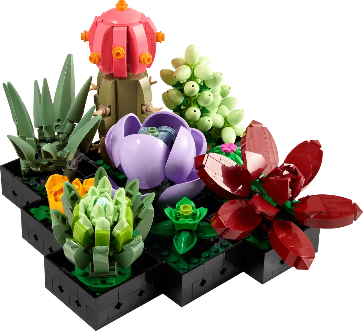 Plantes succulentes (10309) Ensemble de construction