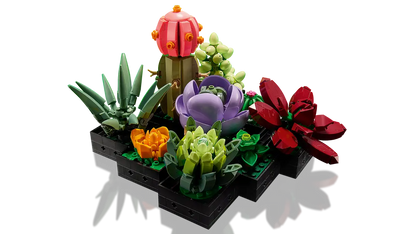 Plantes succulentes (10309) Ensemble de construction