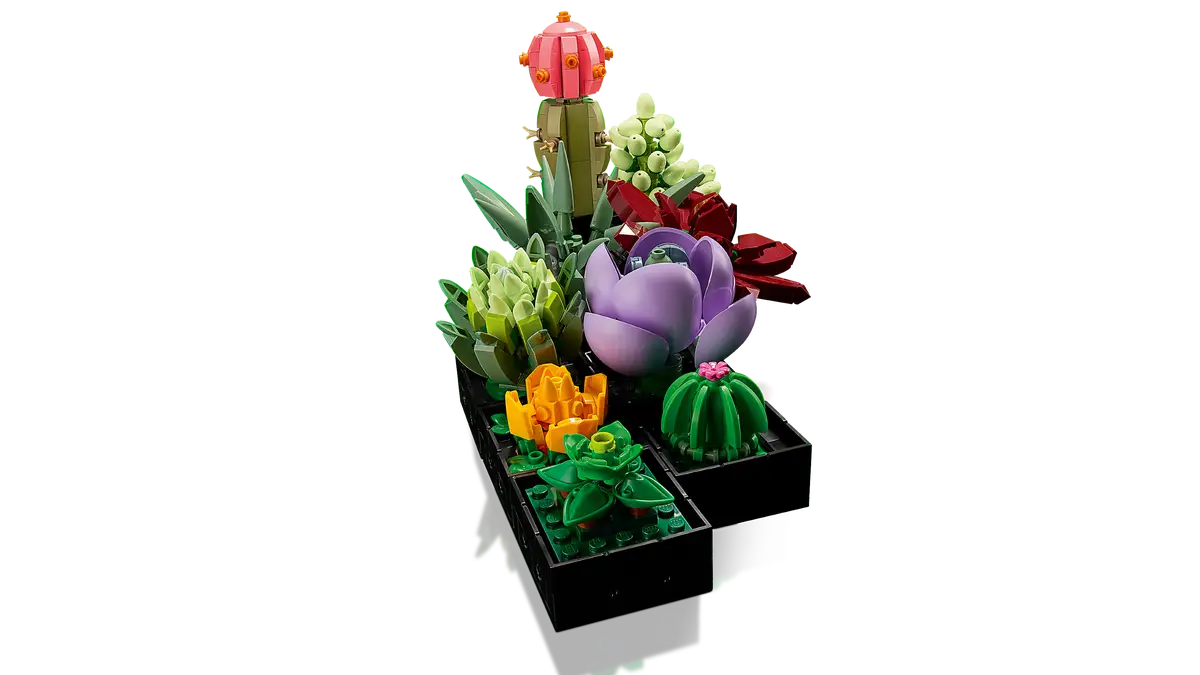 Plantes succulentes (10309) Ensemble de construction