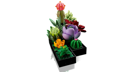 Plantes succulentes (10309) Ensemble de construction