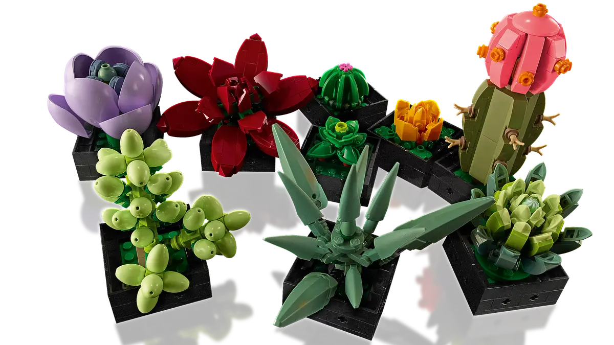 Plantes succulentes (10309) Ensemble de construction