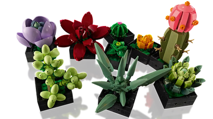 Plantes succulentes (10309) Ensemble de construction