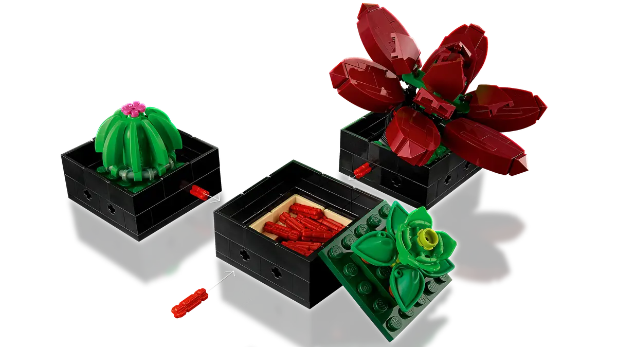 Plantes succulentes (10309) Ensemble de construction