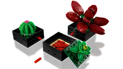 Plantes succulentes (10309) Ensemble de construction