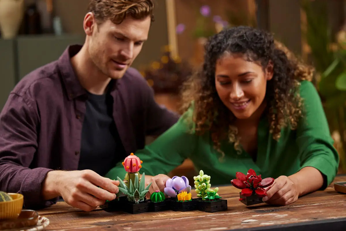 Plantes succulentes (10309) Ensemble de construction
