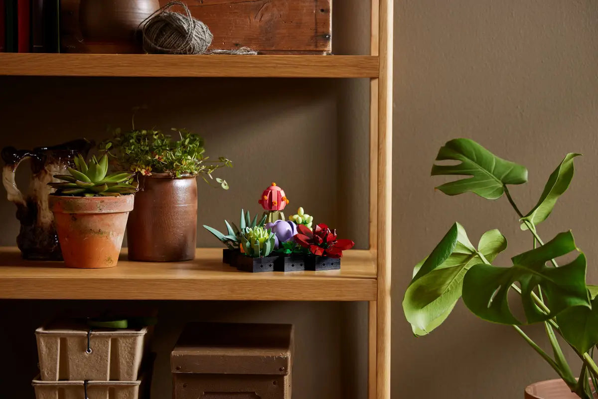 Plantes succulentes (10309) Ensemble de construction