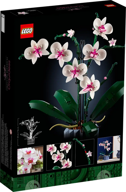 Orchidée (10311) Jeu de construction