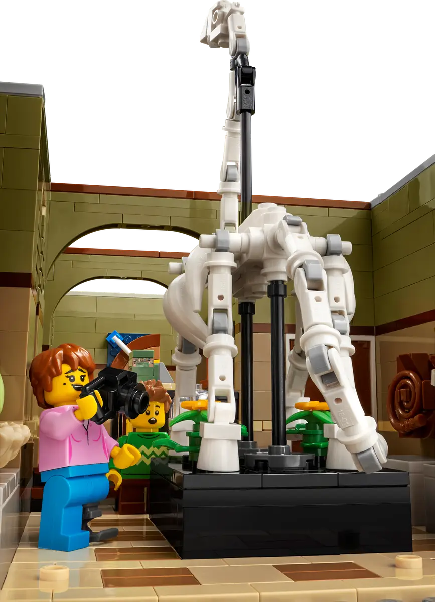 Musée d'Histoire Naturelle (10326)
