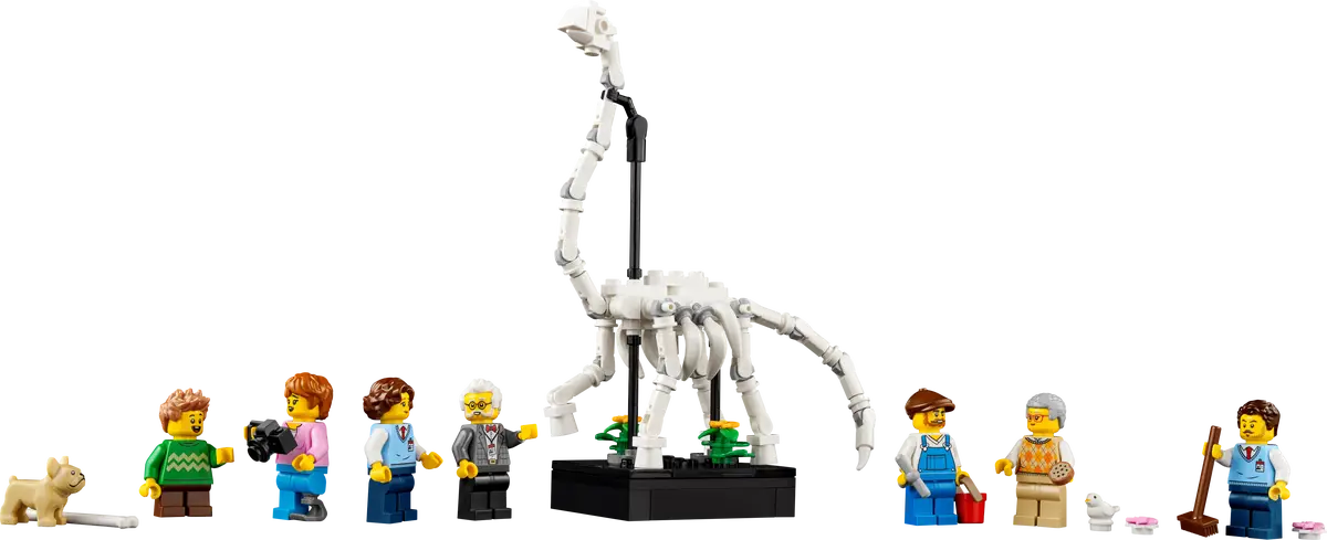 Musée d'Histoire Naturelle (10326)