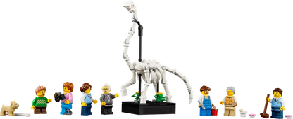 Musée d'Histoire Naturelle (10326)