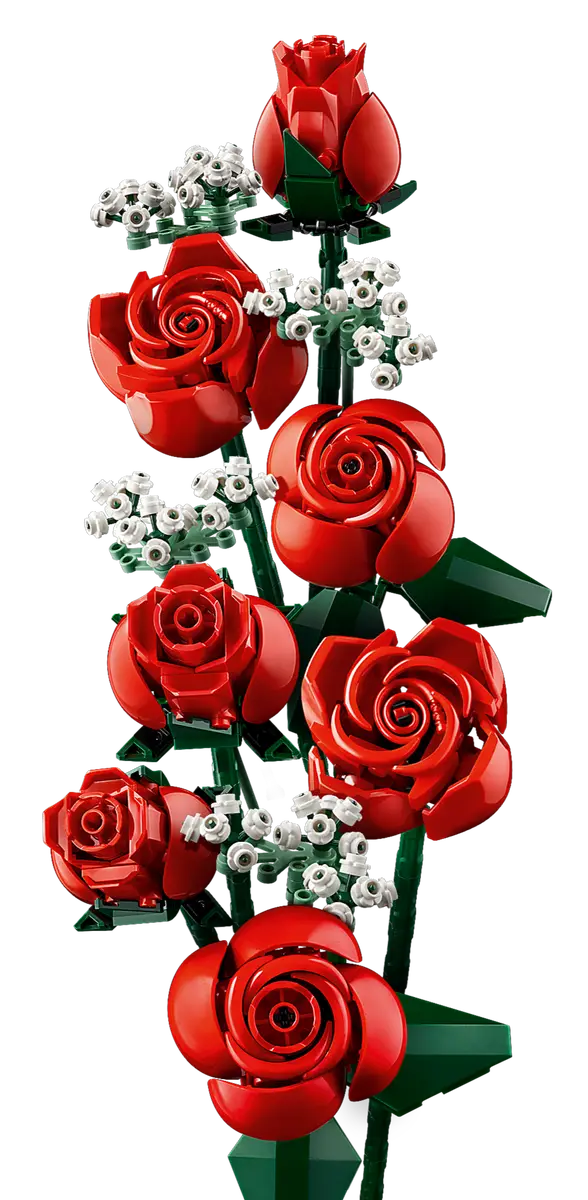 Bouquet de roses (10328) Ensemble de construction