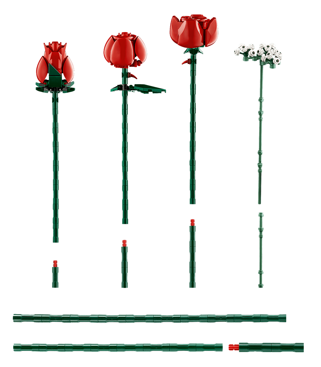 Bouquet de roses (10328) Ensemble de construction