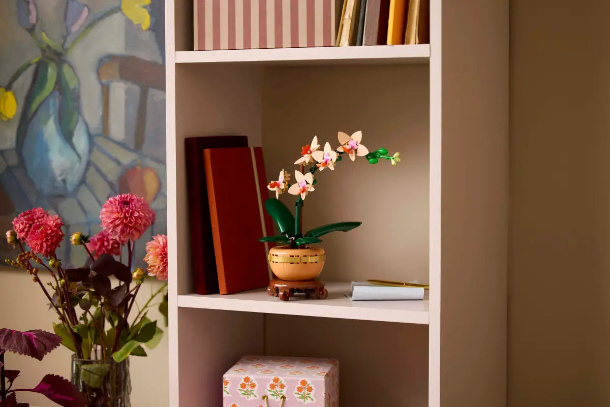 Mini-orchidée (10343)
