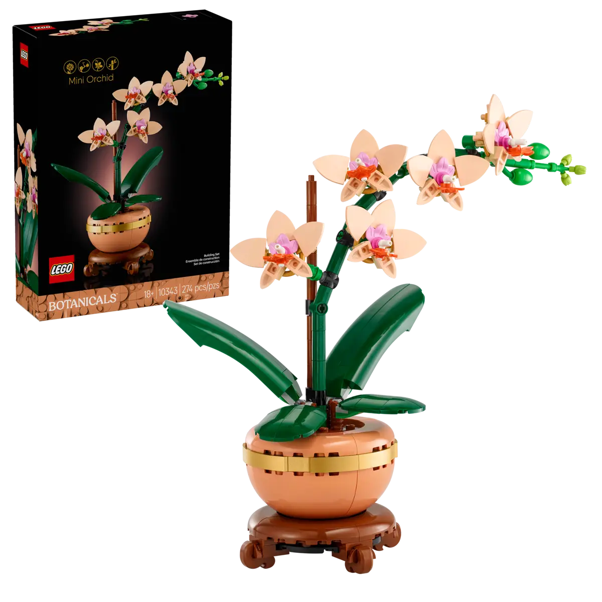 Mini-orchidée (10343)