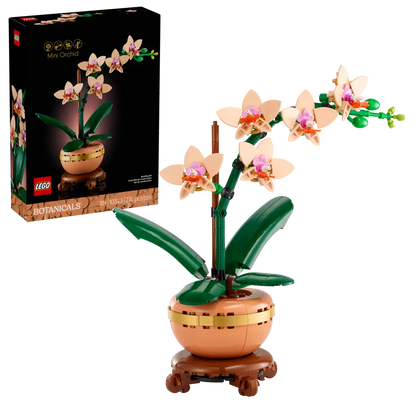 Mini-orchidée (10343)