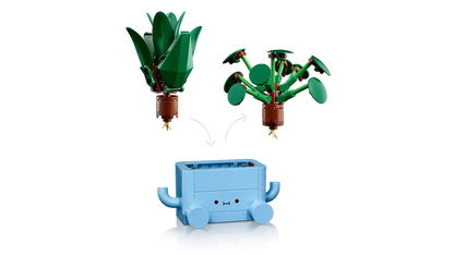 Plantes heureuses (10349)
