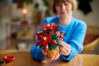 Baukasten „Weihnachtsstern“ (10370).