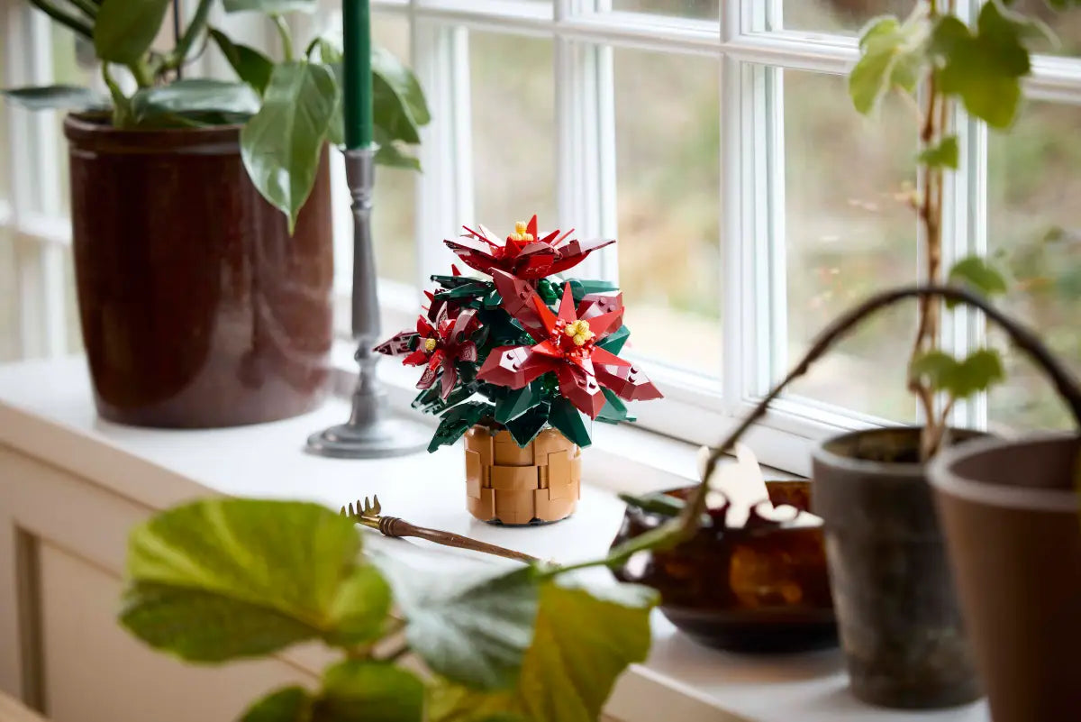 Baukasten „Weihnachtsstern“ (10370).