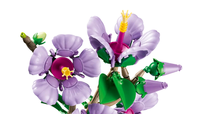 Hibiskus (10372)
