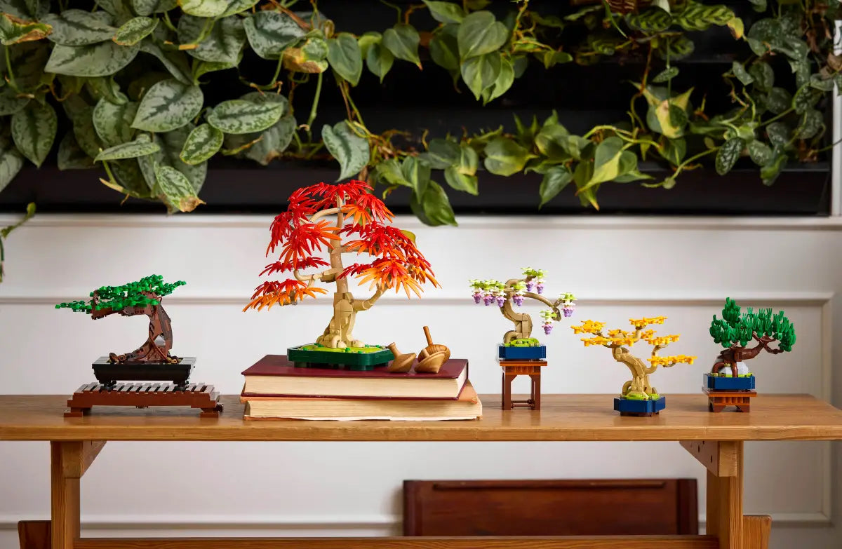 Mini alberi bonsai (10373)