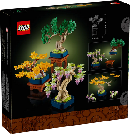 Mini alberi bonsai (10373)