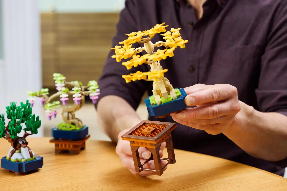 Mini alberi bonsai (10373)