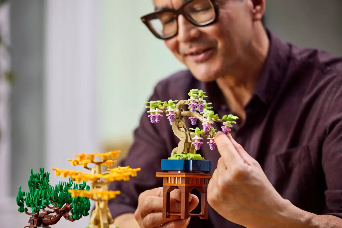 Mini alberi bonsai (10373)