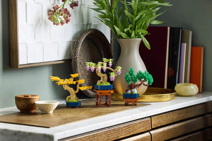 Mini alberi bonsai (10373)