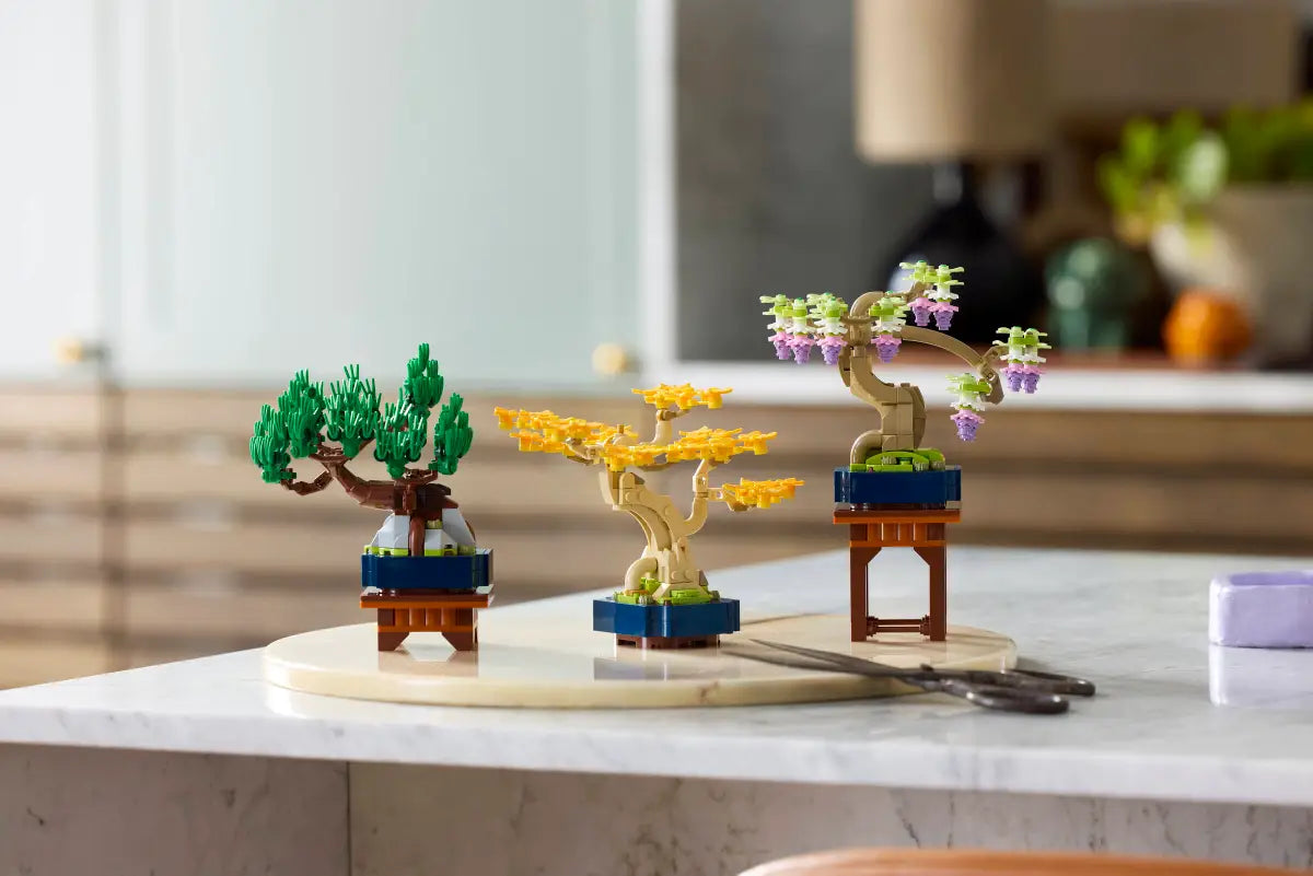 Mini alberi bonsai (10373)