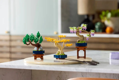 Mini alberi bonsai (10373)