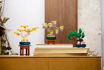 Mini alberi bonsai (10373)
