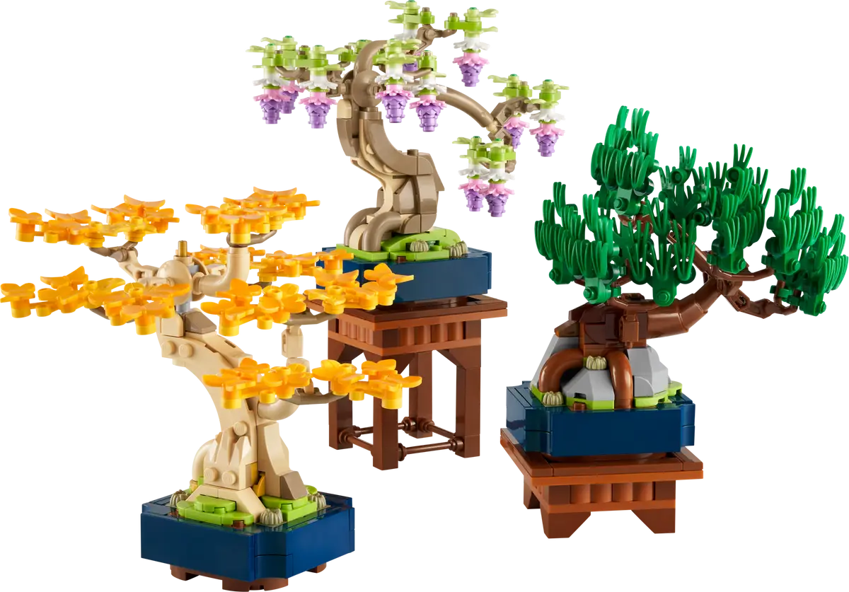 Mini alberi bonsai (10373)