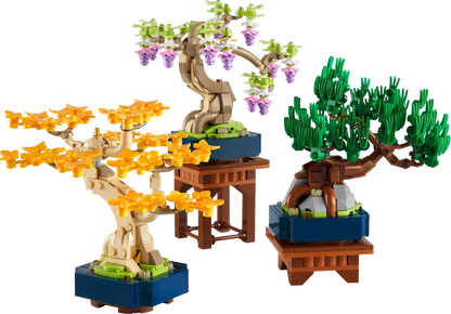 Mini alberi bonsai (10373)