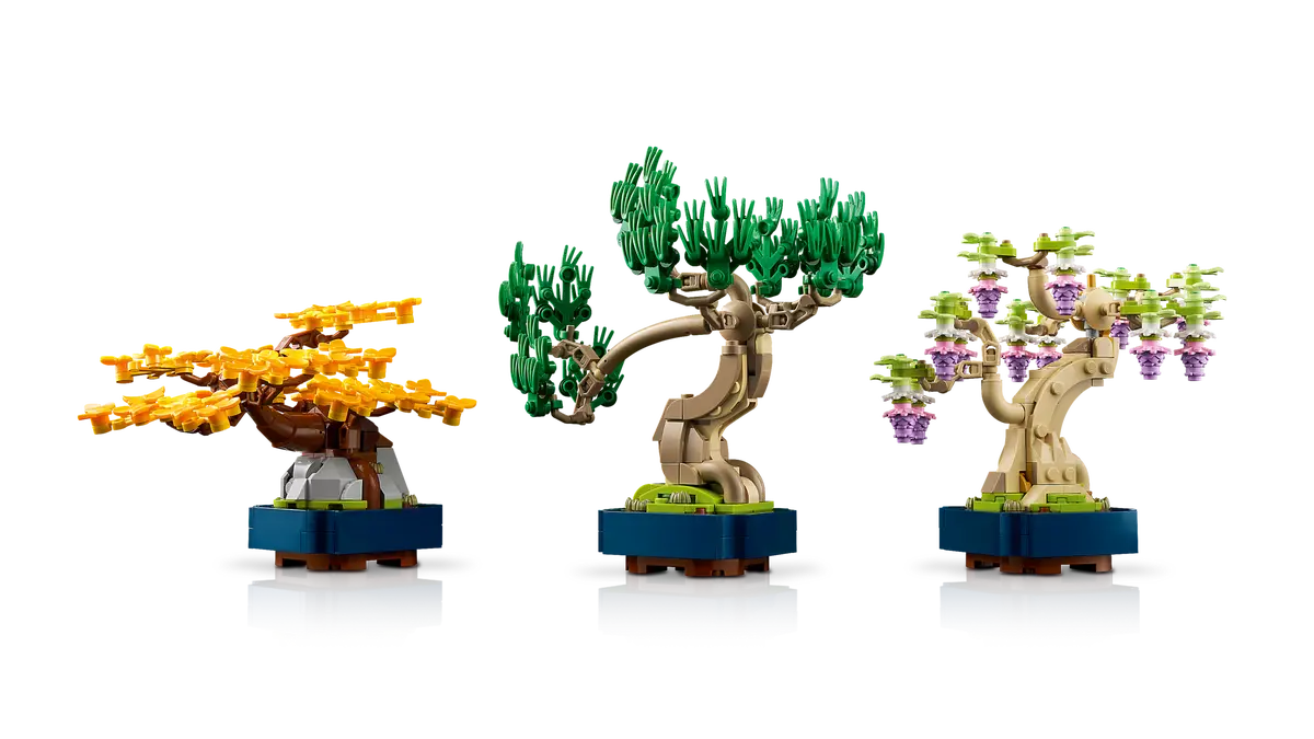 Mini alberi bonsai (10373)