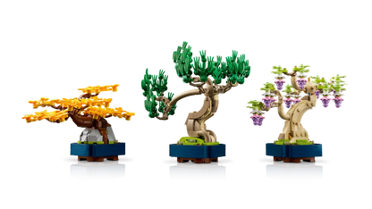 Mini alberi bonsai (10373)