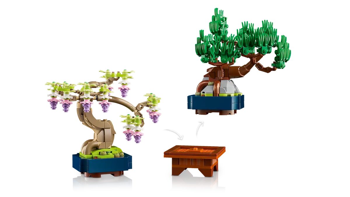 Mini alberi bonsai (10373)
