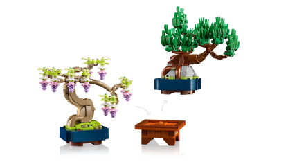Mini alberi bonsai (10373)