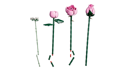 Strauß rosa Rosen (10374)