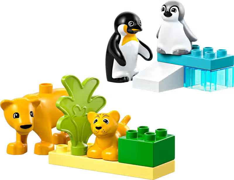 Familles d'animaux sauvages Pingouins et Lions (10442)
