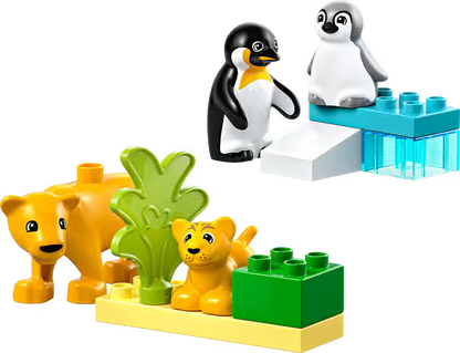 Familles d'animaux sauvages Pingouins et Lions (10442)