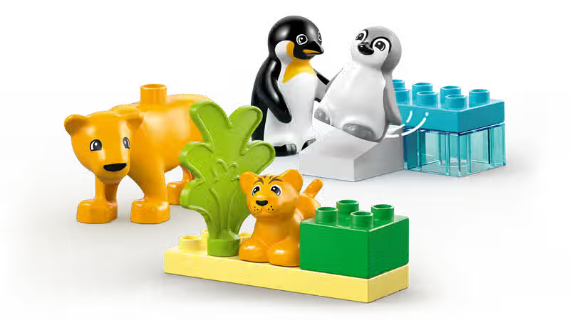 Familles d'animaux sauvages Pingouins et Lions (10442)
