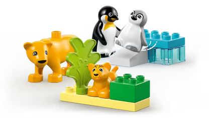 Familles d'animaux sauvages Pingouins et Lions (10442)