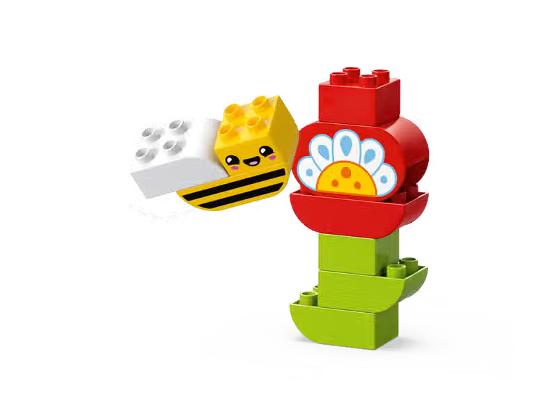 Town Creative Gardening and Flowers (10444)