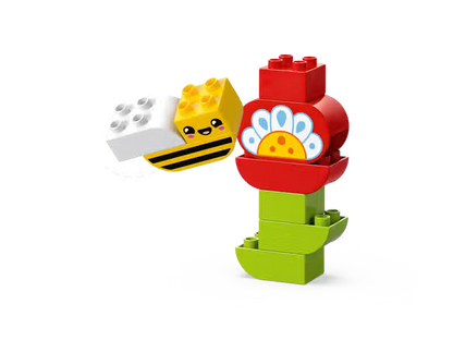 Town Creative Gardening and Flowers (10444)