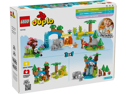 Familles d'animaux sauvages de la ville 3-en-1
