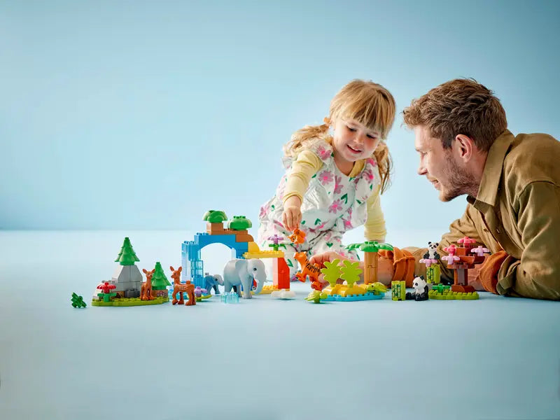 Familles d'animaux sauvages de la ville 3-en-1