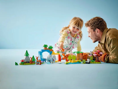 Familles d'animaux sauvages de la ville 3-en-1