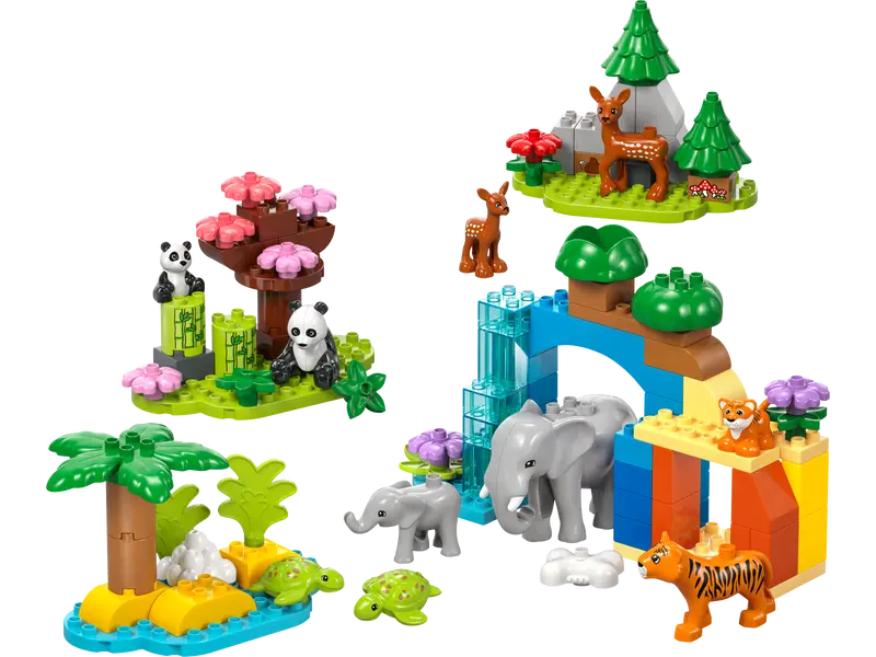Familles d'animaux sauvages de la ville 3-en-1