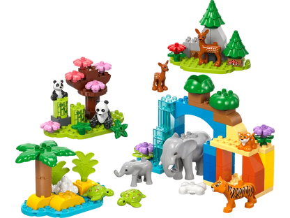 Familles d'animaux sauvages de la ville 3-en-1
